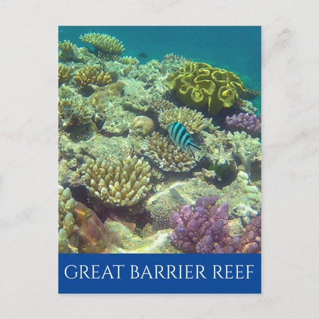 Postal gran barrera de arrecife australia (Anverso)