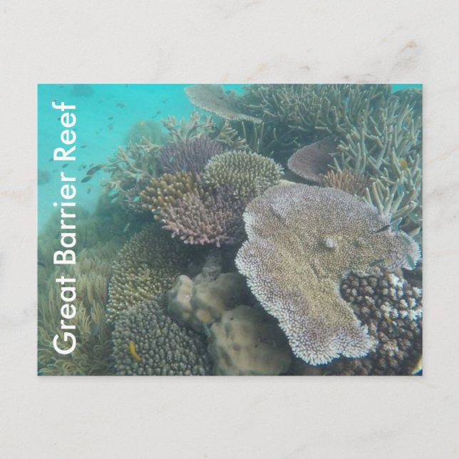 Postal Gran Barrera de Coral Queensland (Anverso)