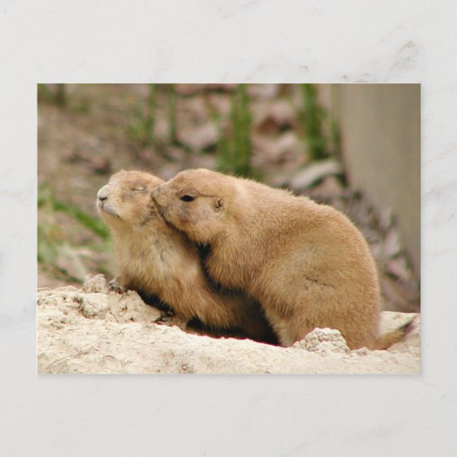 Postal Gran beso (Anverso)