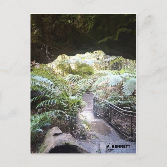 Postal Gran Cañón (Anverso)