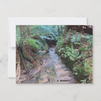 Postal Gran Cañón