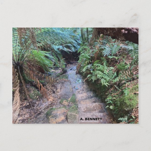 Postal Gran Cañón (Anverso)