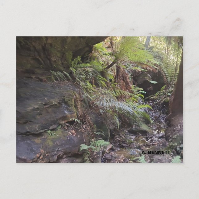 Postal Gran Cañón (Anverso)