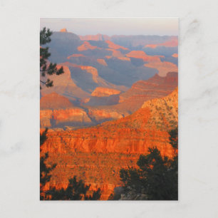 Postal gran cañón