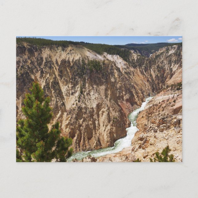 Postal Gran Cañón del Yellowstone (Anverso)