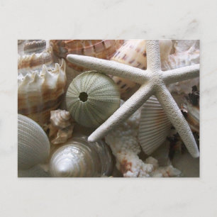 Postal Gran cantidad de impresiones de las casetas de mar