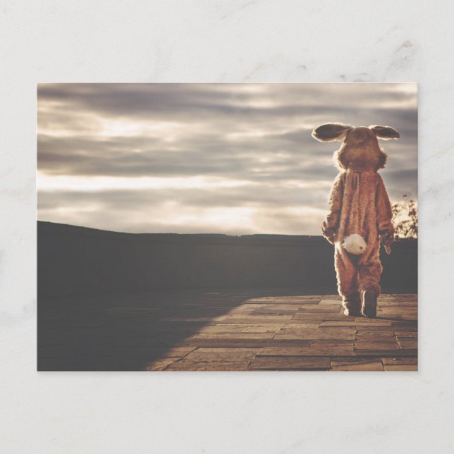 Postal Gran Conejo (Anverso)