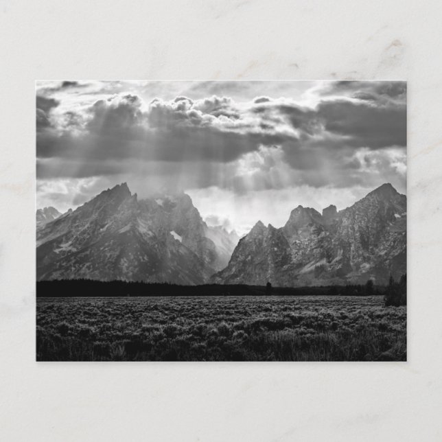 Postal Gran Cordillera de Teton en blanco y negro (Anverso)