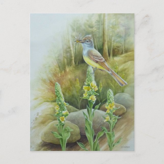 Postal Gran Creste Flycatcher Bird Watercolor Art (Anverso)