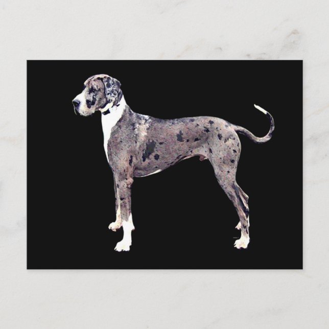 Postal Gran Dane Merle 'Heffner' (Anverso)