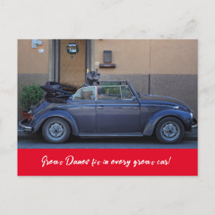 Postal Gran danés cabe en un Beetle
