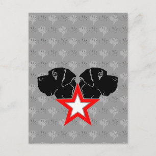 Postal Gran Danés Cabeza de Estrella