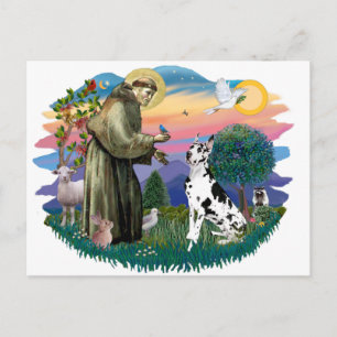 Postal Gran danés (Harlequin)