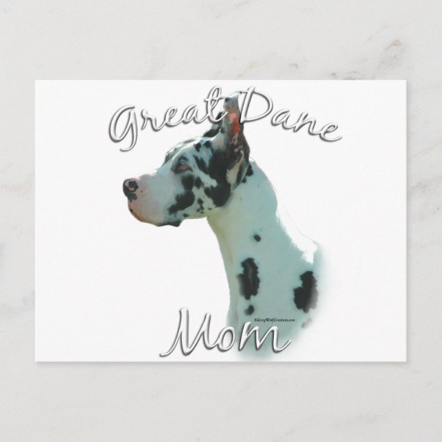 Postal Gran danés (harlequin) mamá 2 (Anverso)