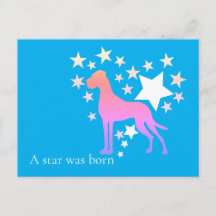 Gran Danés Personalizado Estrella