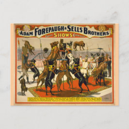 Postal Gran danés/Poster de circo de perros