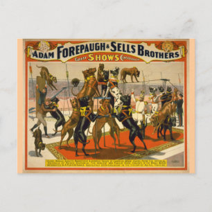 Postal Gran danés/Poster de circo de perros