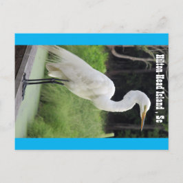 Postal Gran Egret