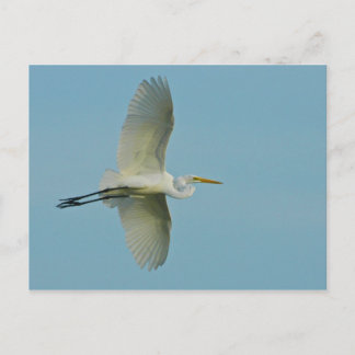 Postal Gran Egret