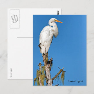 Postal Gran Egret Wildlife Series # 22