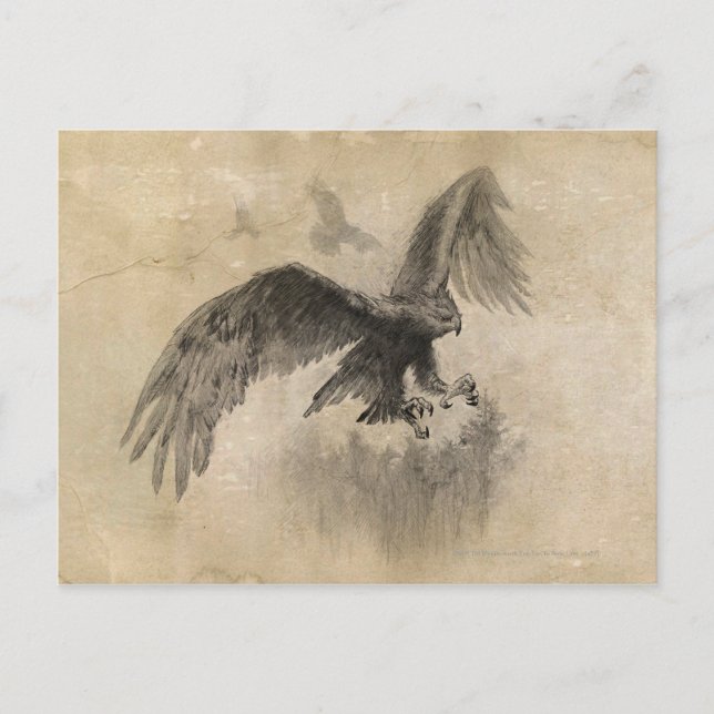 Postal Gran Esbozo de Águilas (Anverso)