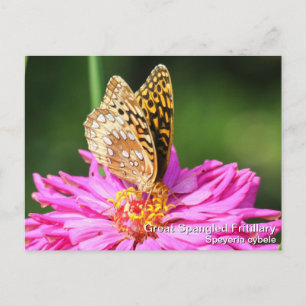 Postal Gran Fritillary Español