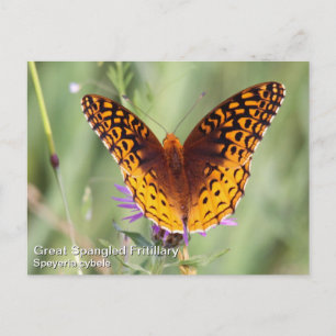 Postal Gran Fritillary Español