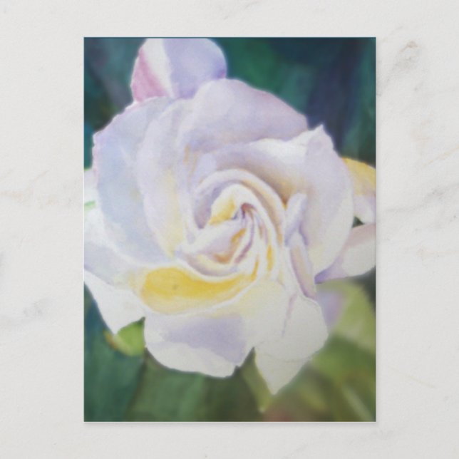 Postal Gran Gardenia Blanca Creamy (Anverso)