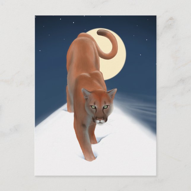 Postal Gran Gato En La Nieve De Invierno - León De Montañ (Anverso)