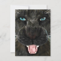 Gran Gato Pantera Negra