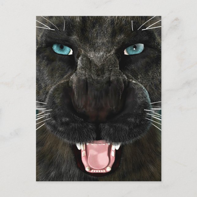 Postal Gran Gato Pantera Negra (Anverso)