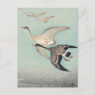 Postal Gran Geese en la pintura al vuelo de Ohara Koson