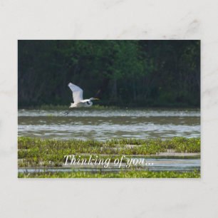 Postal Gran Idea De Tu Postcarta De Los Grandes Egredient