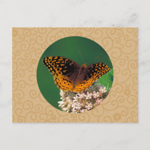 Postal Gran Mariposa Fritillary