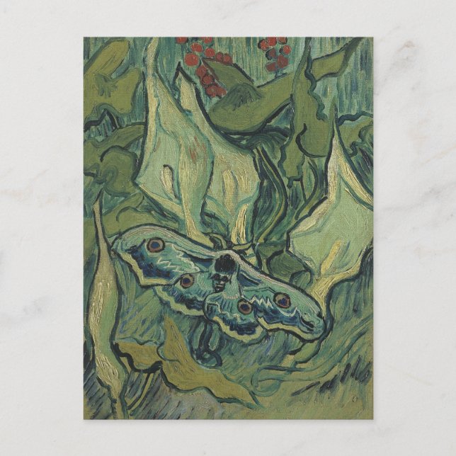 Postal Gran Moth de Peacock por Vincent van Gogh (Anverso)