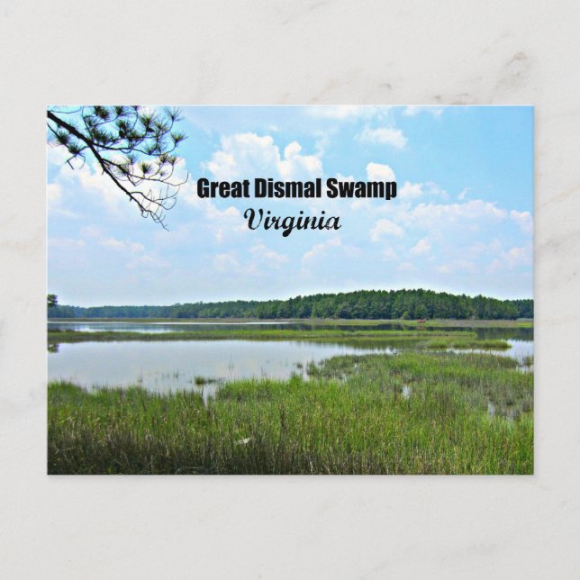 Postal Gran pantano sombrío - Virginia (Anverso)