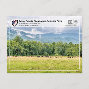 Postal Gran Parque Nacional de Montañas Ahumadas - Cades
