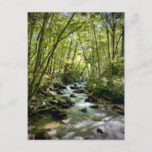 Gran Parque Nacional de Montañas Smoky, Tennessee