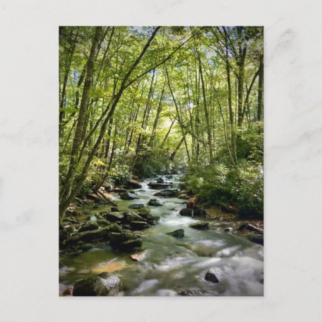 Postal Gran Parque Nacional de Montañas Smoky, Tennessee (Anverso)