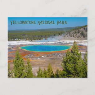 Postal Gran Primavera Primaria Yellowstone