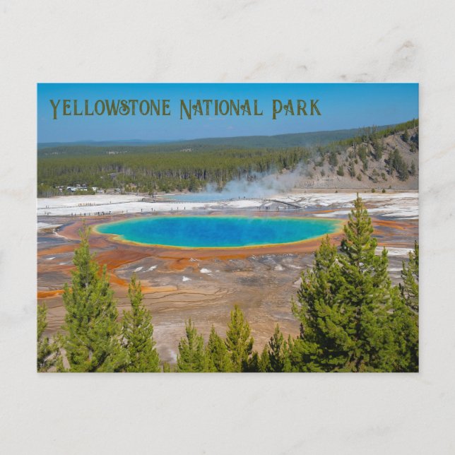 Postal Gran Primavera Primaria Yellowstone (Anverso)