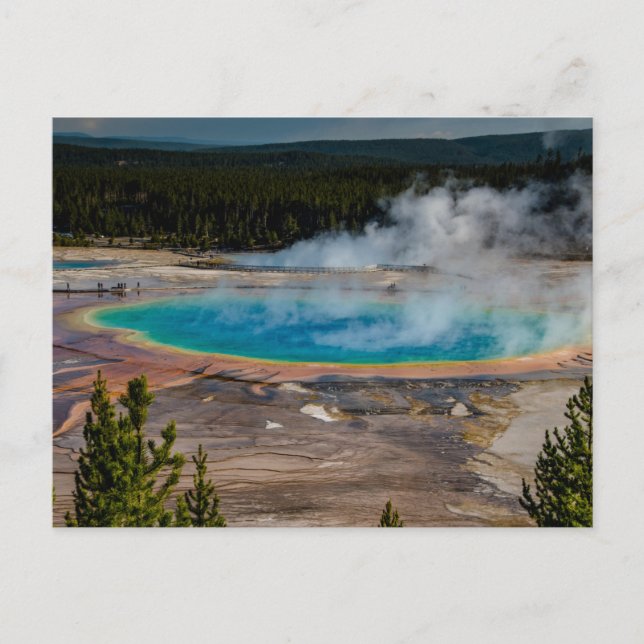 Postal Gran Primavera Primaria Yellowstone (Anverso)