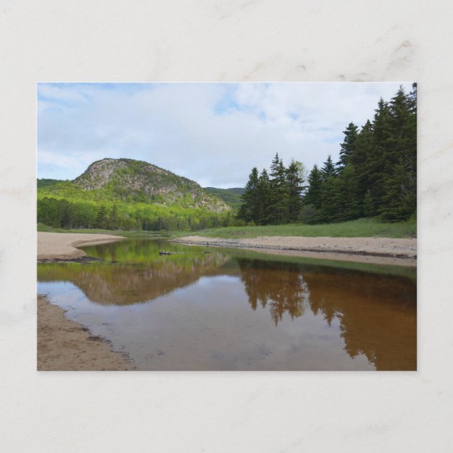 Postal Gran reflexión de la cabeza en Sand Beach (Anverso)