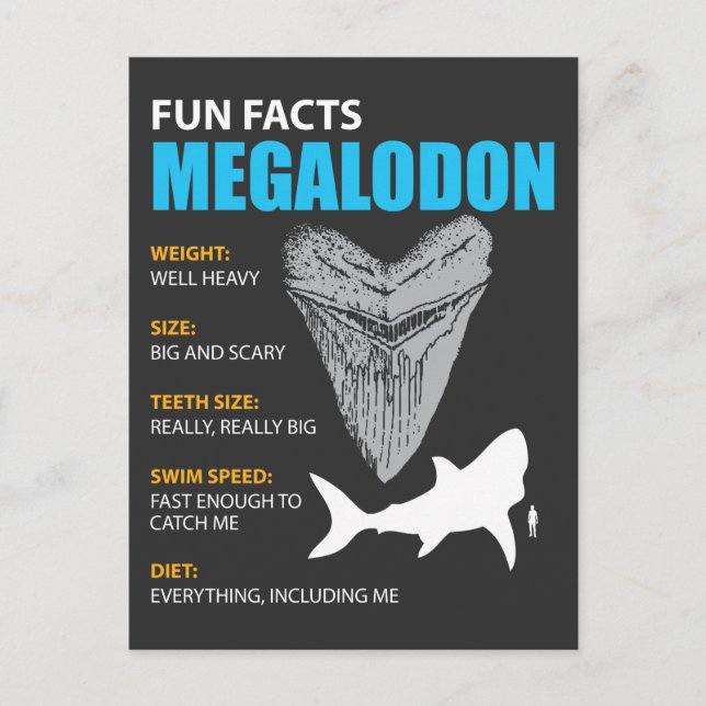 Postal Gran regalo de la camiseta Megalodon para los entu (Anverso)