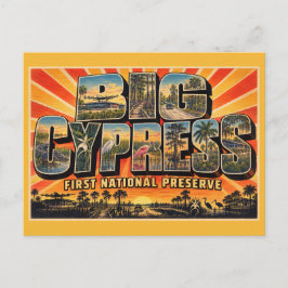 Postal Gran Reserva Nacional Big Cypress Florida Pantano