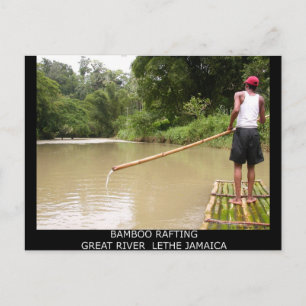 Postal Gran río León de Bambú