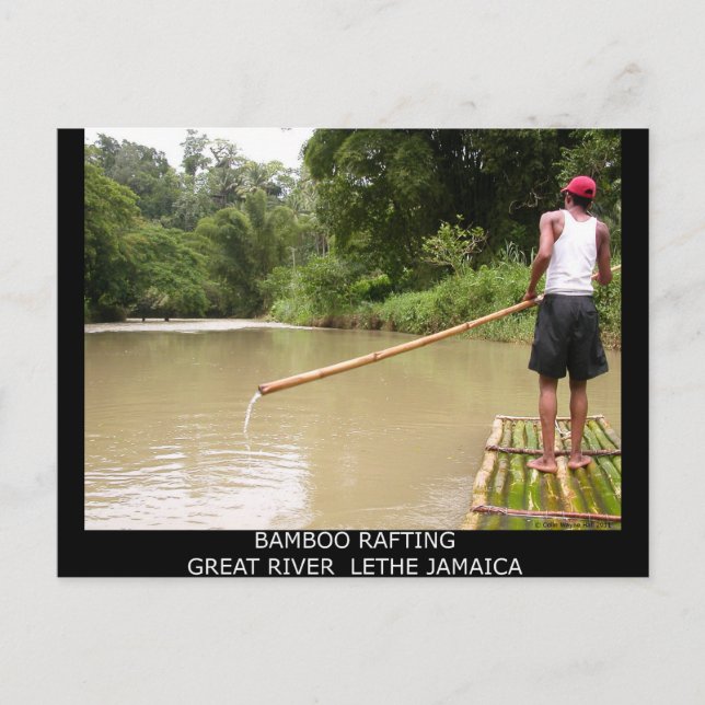 Postal Gran río León de Bambú (Anverso)