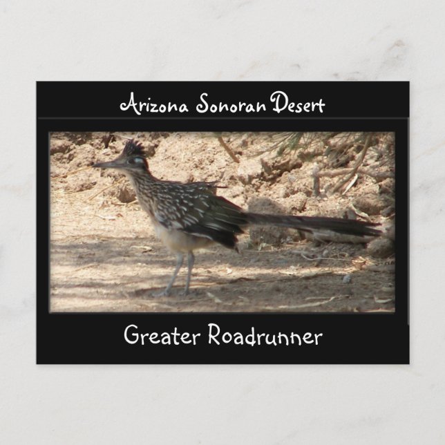 Postal Gran Roadrunner (Anverso)