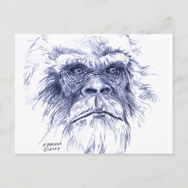 Postal Gran Sasquatch Azul (Anverso)