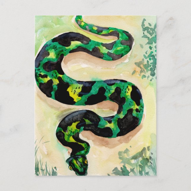 Postal Gran serpiente verde (Anverso)